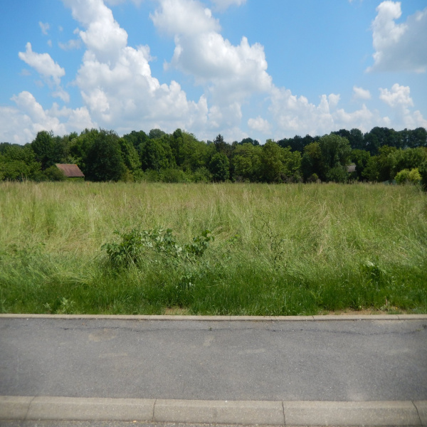 Offres de vente Terrain Saint-Martin-des-Champs 77320