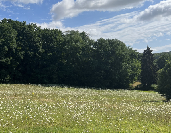 Offres de vente Terrain à batir Villiers-Saint-Denis 02310